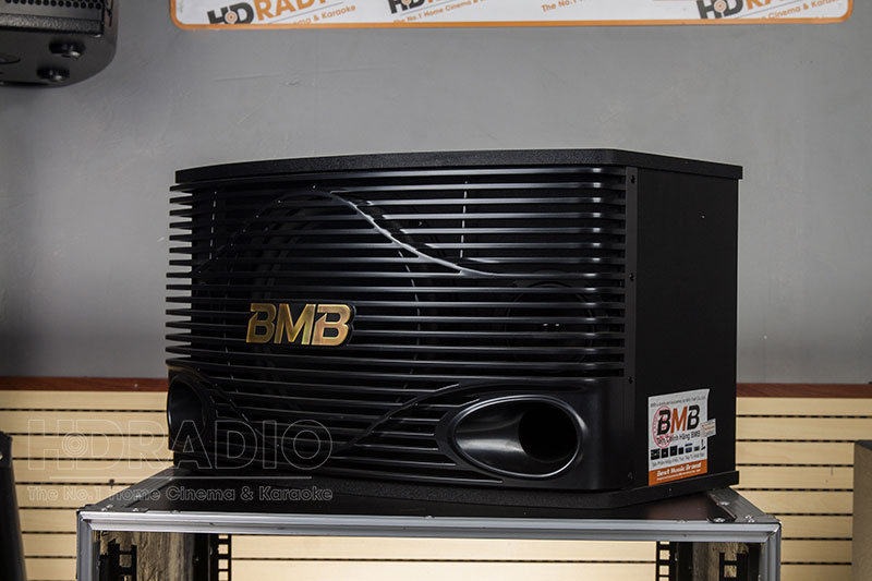 Loa BMB CSN 500SE, Bass 25cm, 450W-2
