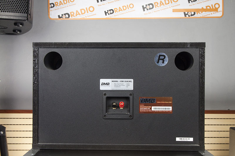 Loa BMB CSE 310, Bass 25cm, 250W-4