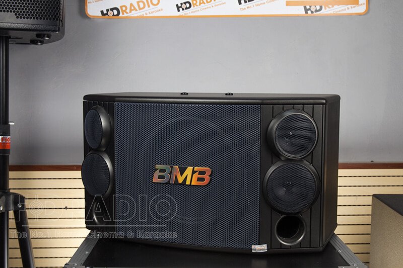 Loa BMB CSD 880SE, Bass 25cm, 400W-3