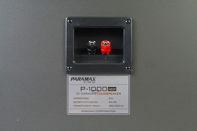 Loa Paramax P1000 New-2