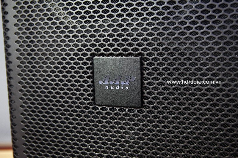 Loa AAP KP052, Bass 30cm, 450W-2