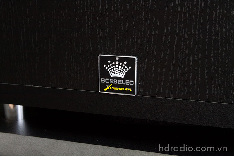 Loa Sub Boss Elec B12, Bass 30cm, 150W-4