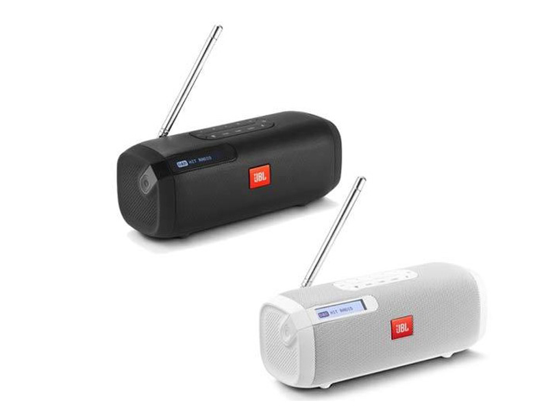 Loa JBL Tuner FM-2