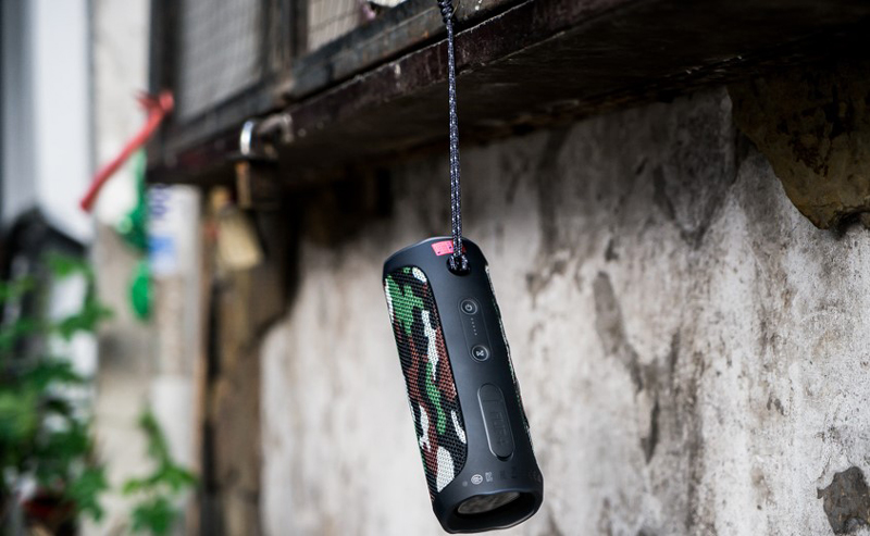 Loa JBL FLIP 4 SPECIAL EDITION-7