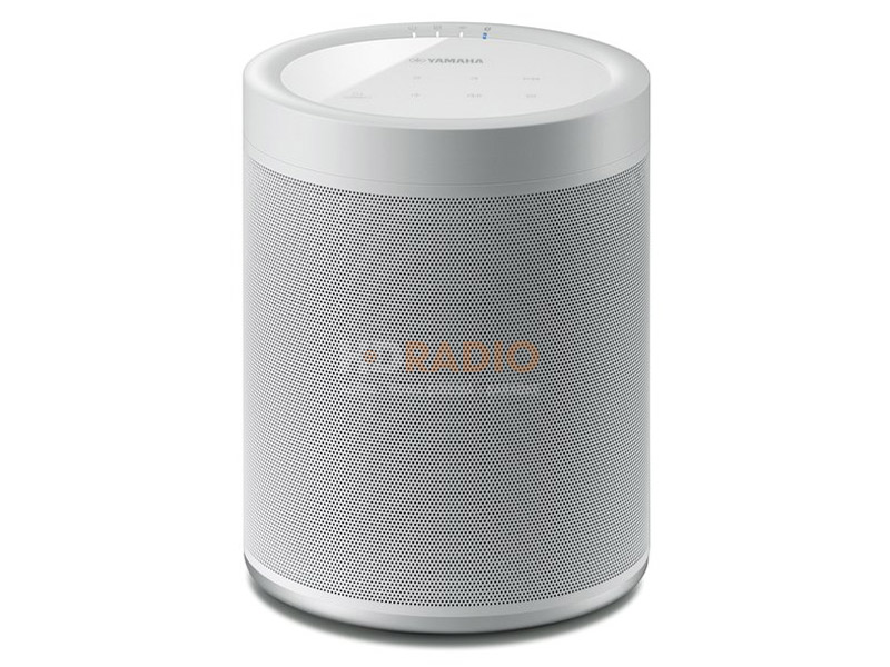Loa Yamaha WX-021-2