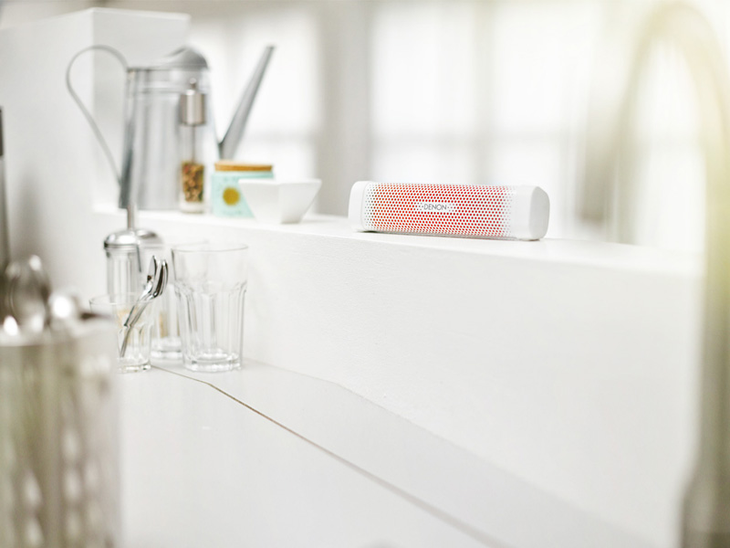 Loa denon Envaya mini DSB 100-10