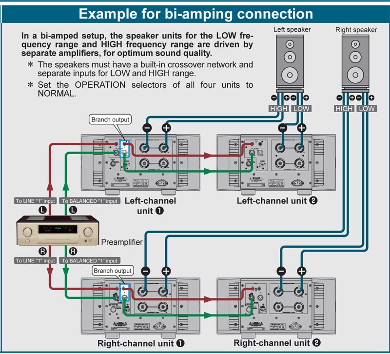 Mono Power Amply Accuphase A250, 2 Kênh, 100W/CH (8 Ohm)-9