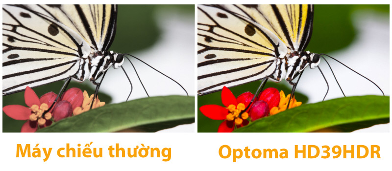 Máy chiếu Optoma HD39HDR-8