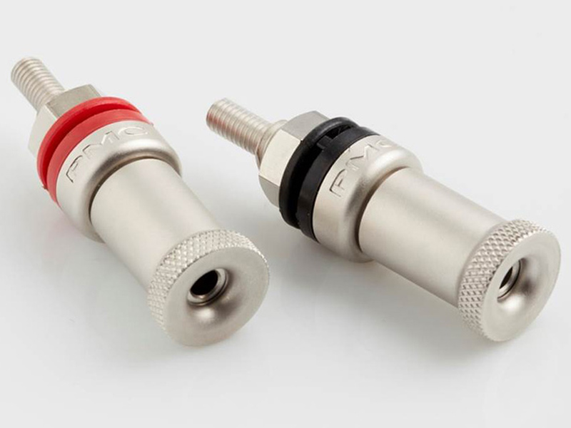 Loa PMC Twenty 5.26 (Độ nhạy 86dB, Tần số 27Hz-25KHz)-3