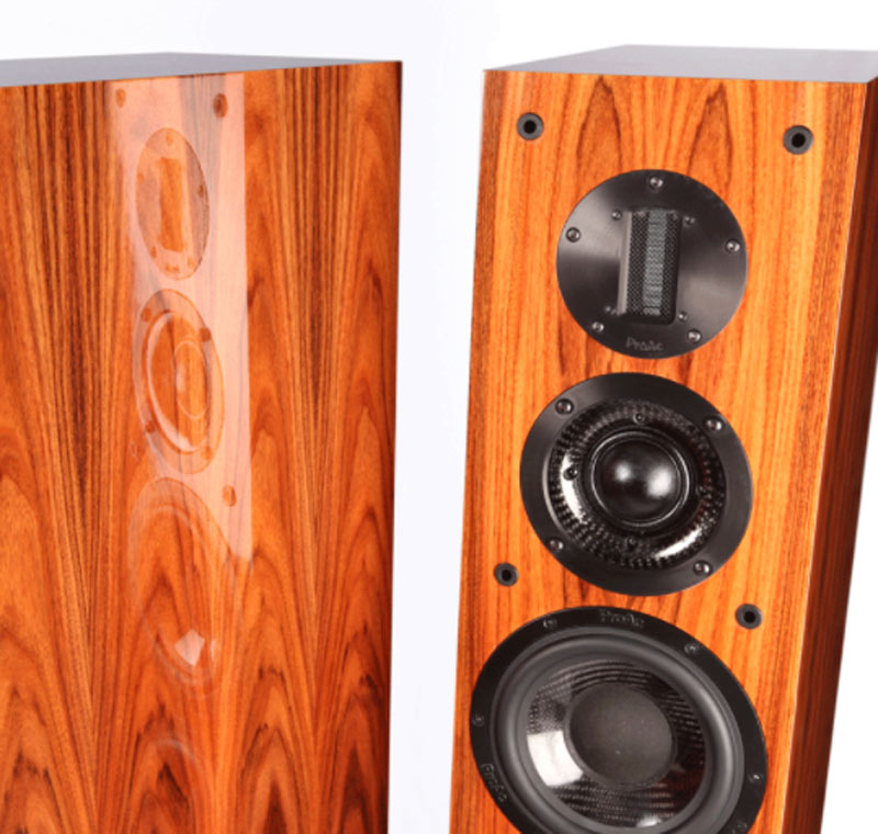 Loa ProAc Carbon Pro 6 (Độ nhạy 90dB, Tần số 25Hz-30KHz)-3