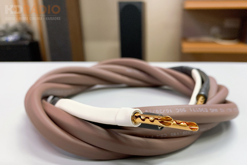 Dây Loa Analysis Oval 12/2-4