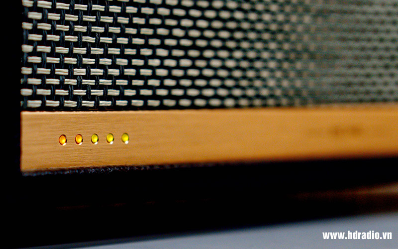 Loa Marshall Acton 2 Voice With Amazon Alexa-15