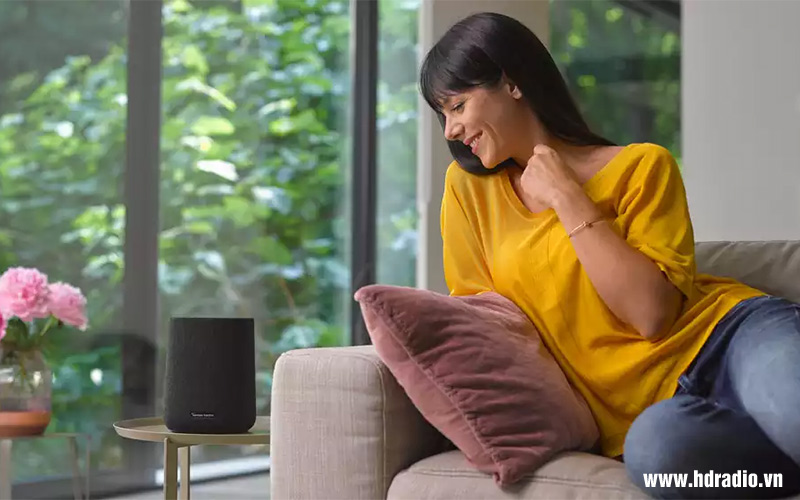 Loa Harman Kardon Citation One-6