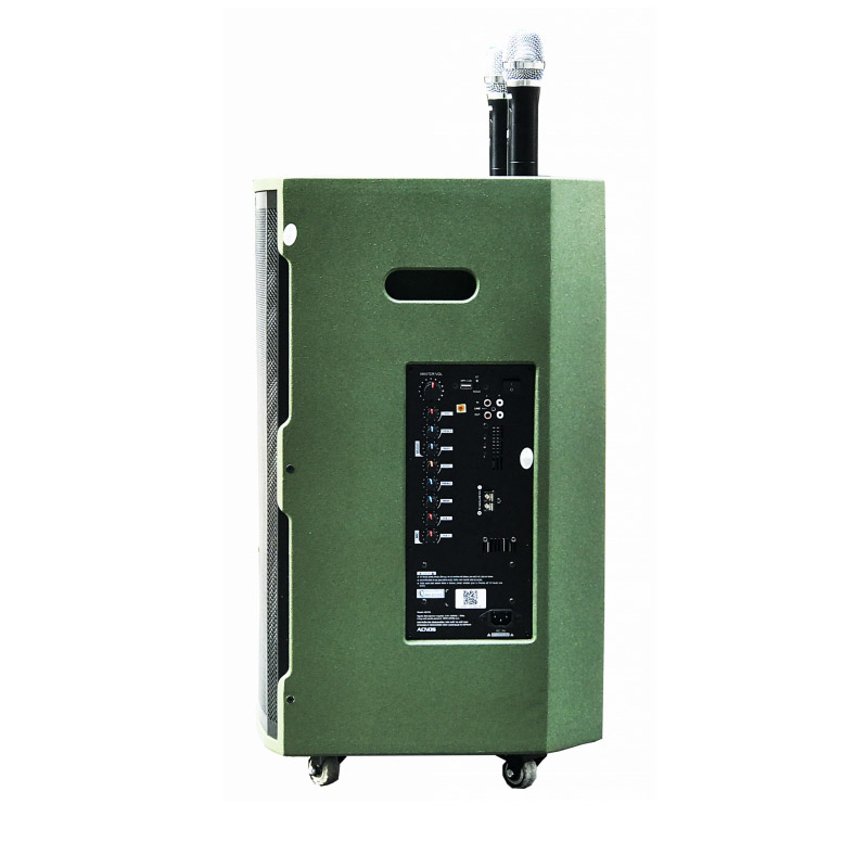 Loa kéo Acnos CB39G-1