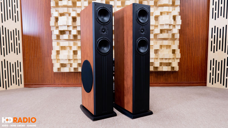 Loa Paramax D88 Limited, Bass 30cm, Công Suất 120W, Bảo Hành 5 năm-3