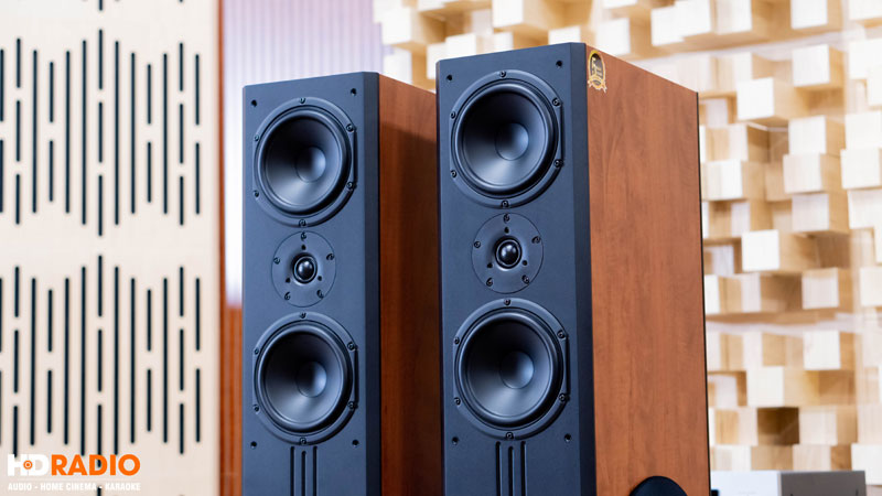 Loa Paramax D88 Limited, Bass 30cm, Công Suất 120W, Bảo Hành 5 năm-5