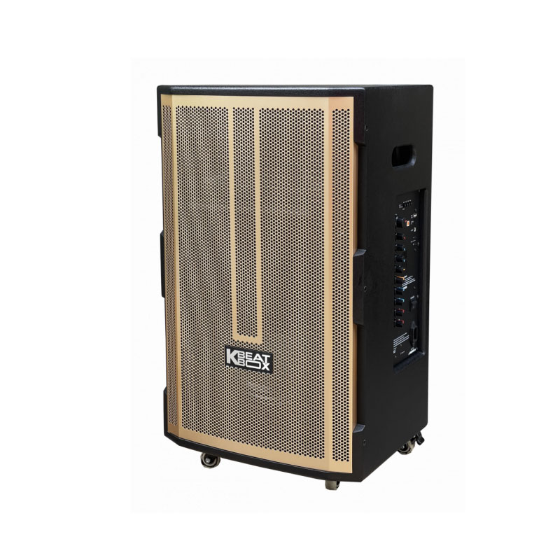 Loa kéo Acnos CB392G