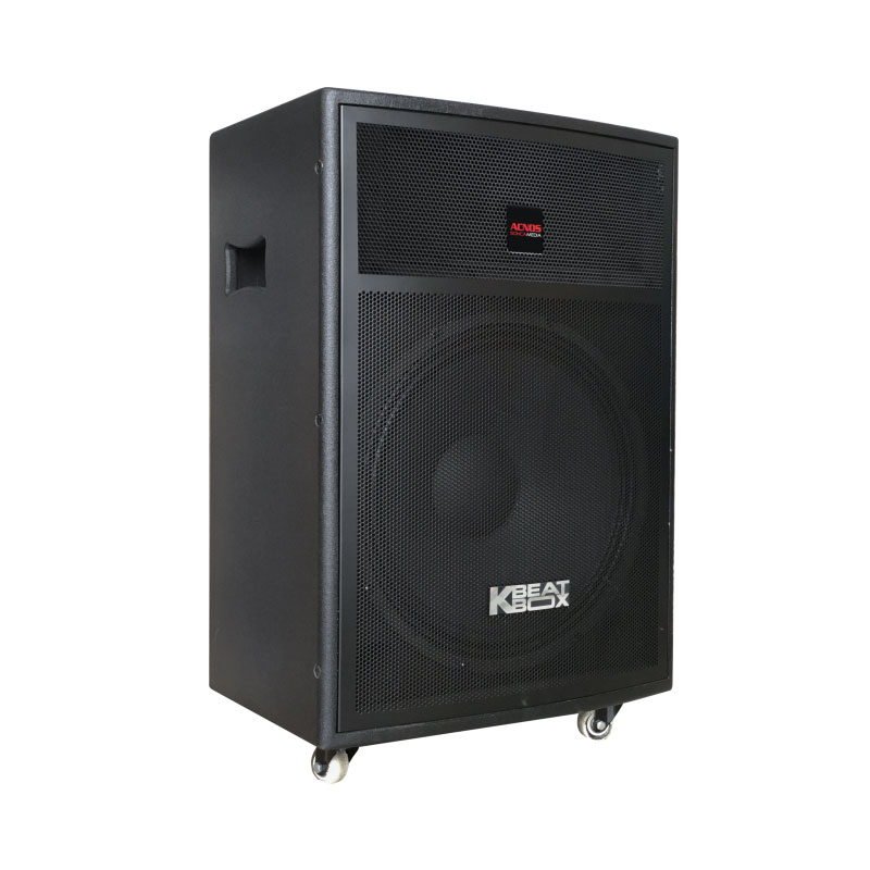 Loa kéo Acnos KB43G-2