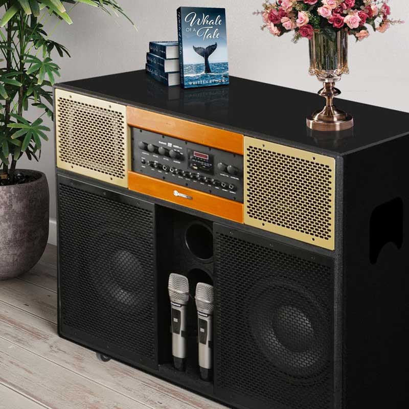 Loa Sumico Home Station 10, Bass 25cm, công suất 350w, Đi Kèm 2 Tay Mic-1