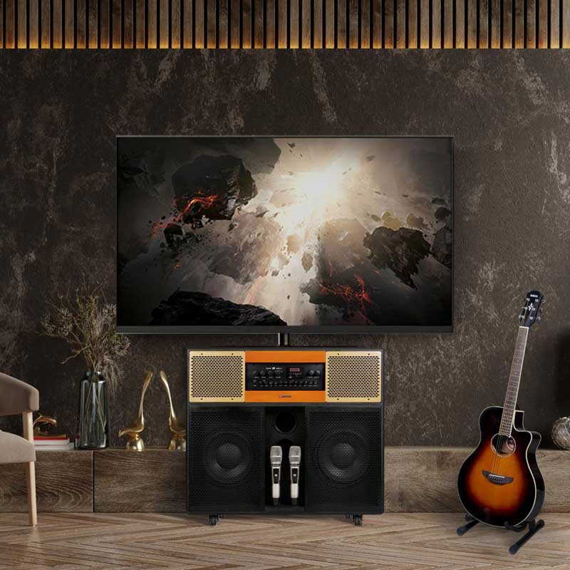 Loa Sumico Home Station 10, Bass 25cm, công suất 350w, Đi Kèm 2 Tay Mic-2