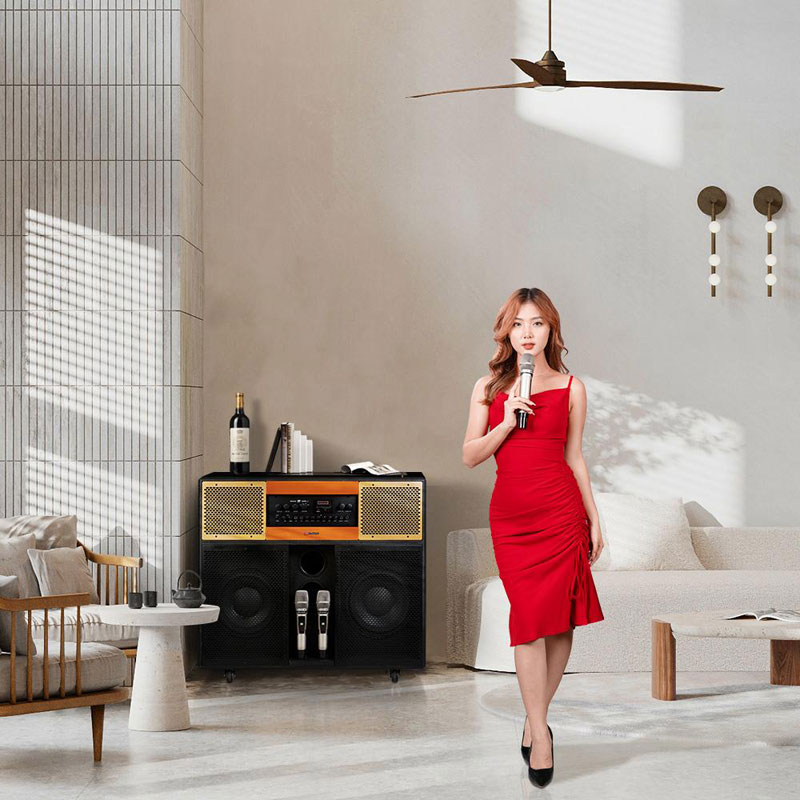 Loa Sumico Home Station 12-3