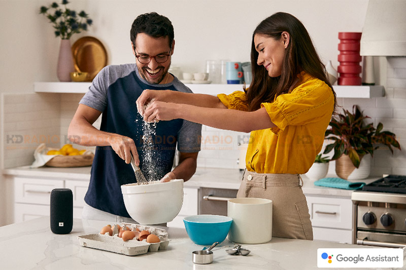 Loa JBL Link Portable-6