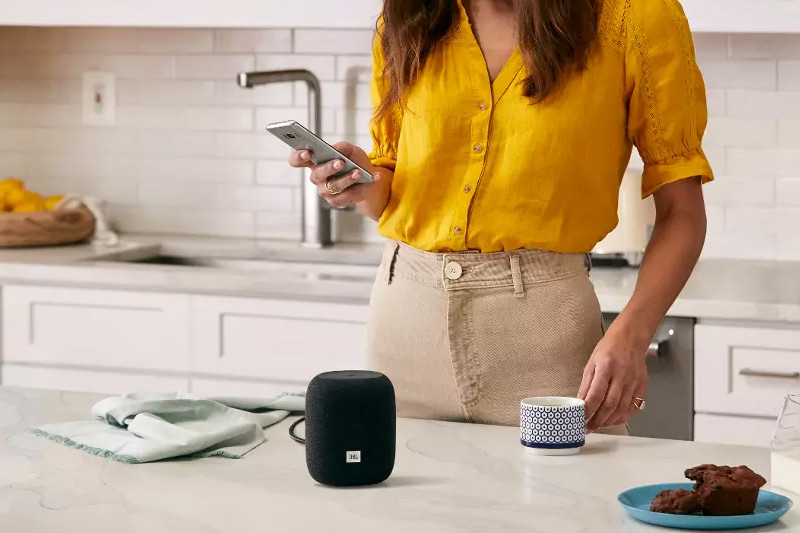 Loa JBL Link Music-5