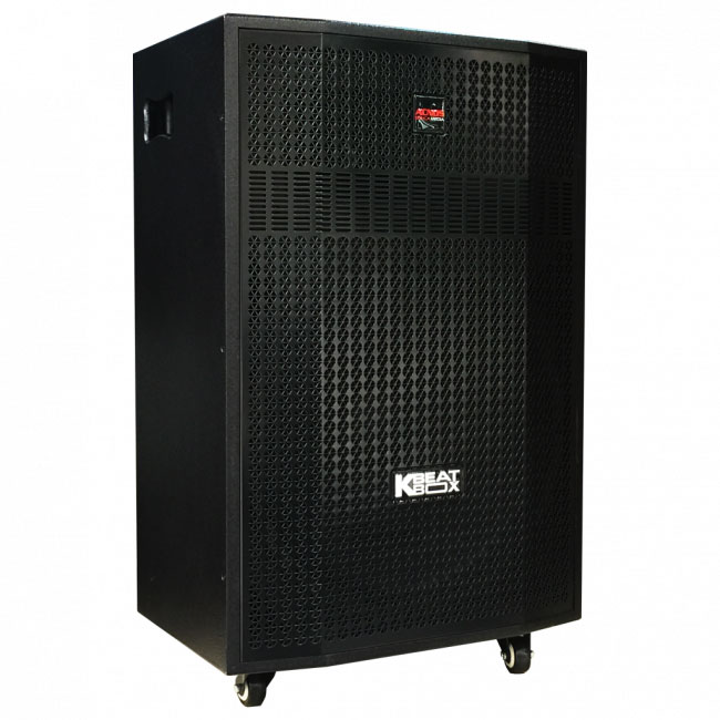 Loa Kéo Acnos CB501G-2