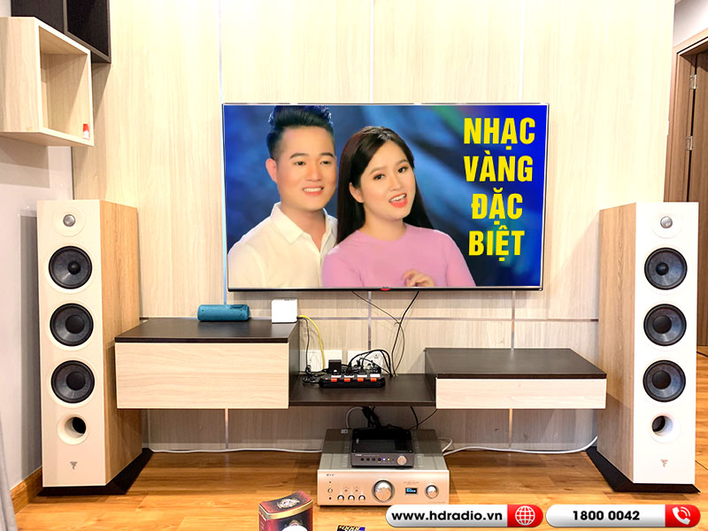 Dàn âm thanh nghe nhạc Trữ tình Focal, Denon HD21-3