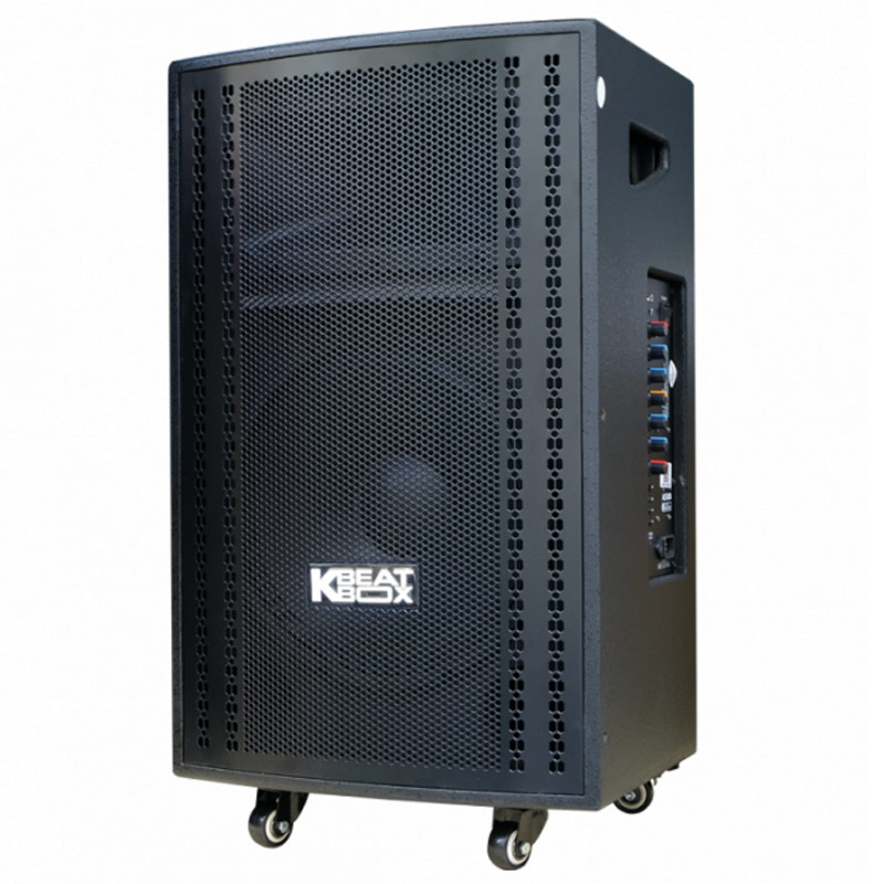 Loa Kéo Acnos CB3050G-1