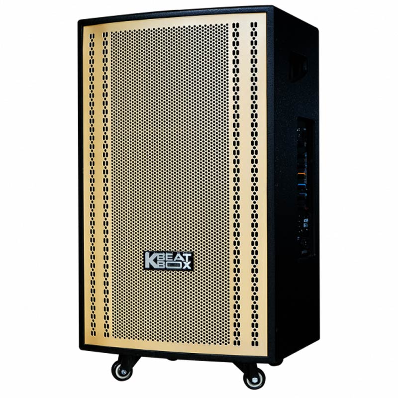 Loa kéo Acnos CB3051G-1