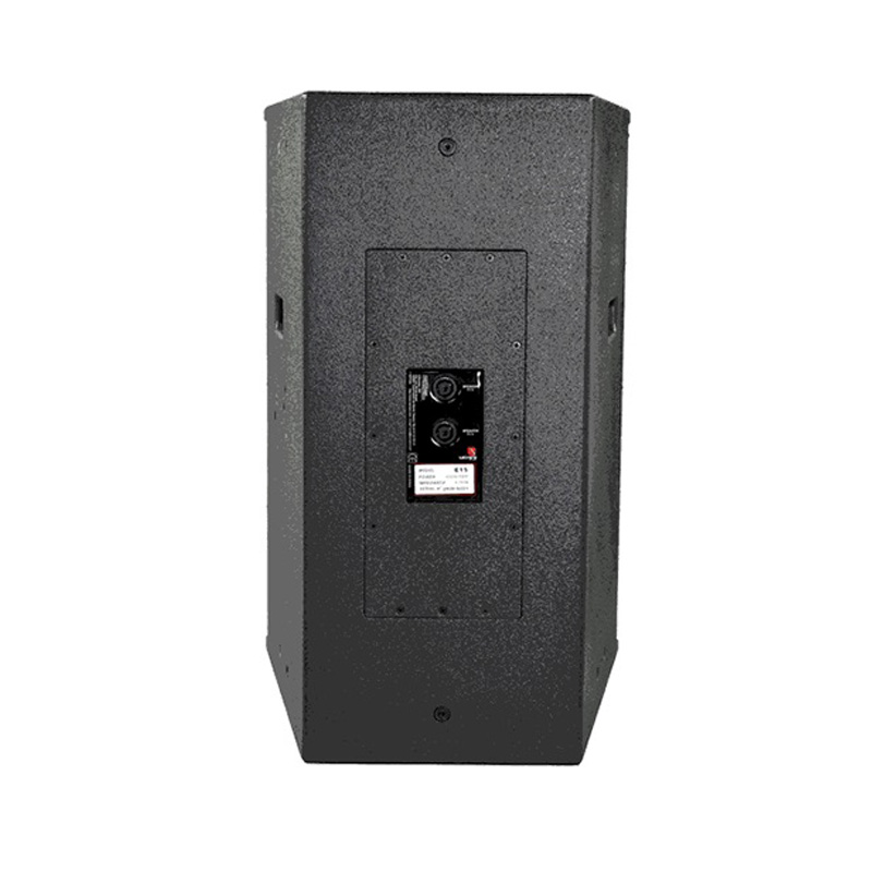 Loa Tecnare E15, Bass 40cm, 400W-4