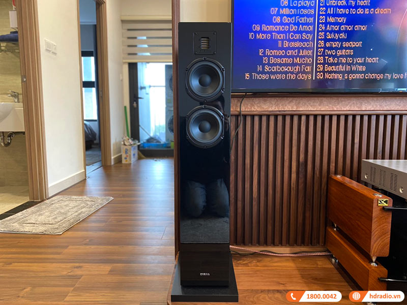 Dàn âm thanh nghe nhạc cao cấp Denon, Piega HD27-10