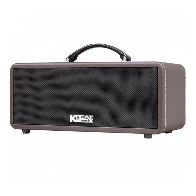 Loa Acnos KS362S Plus-1