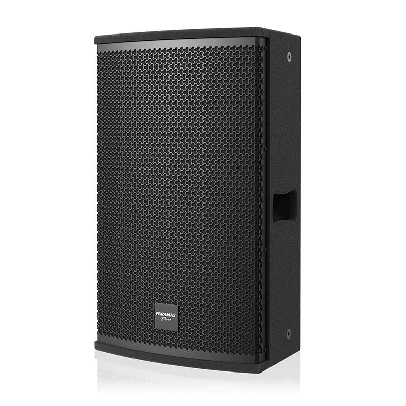 Loa Paramax Pro S30, Bass 30cm, 250W-1