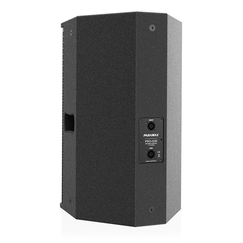 Loa Paramax Pro S30, Bass 30cm, 250W-4