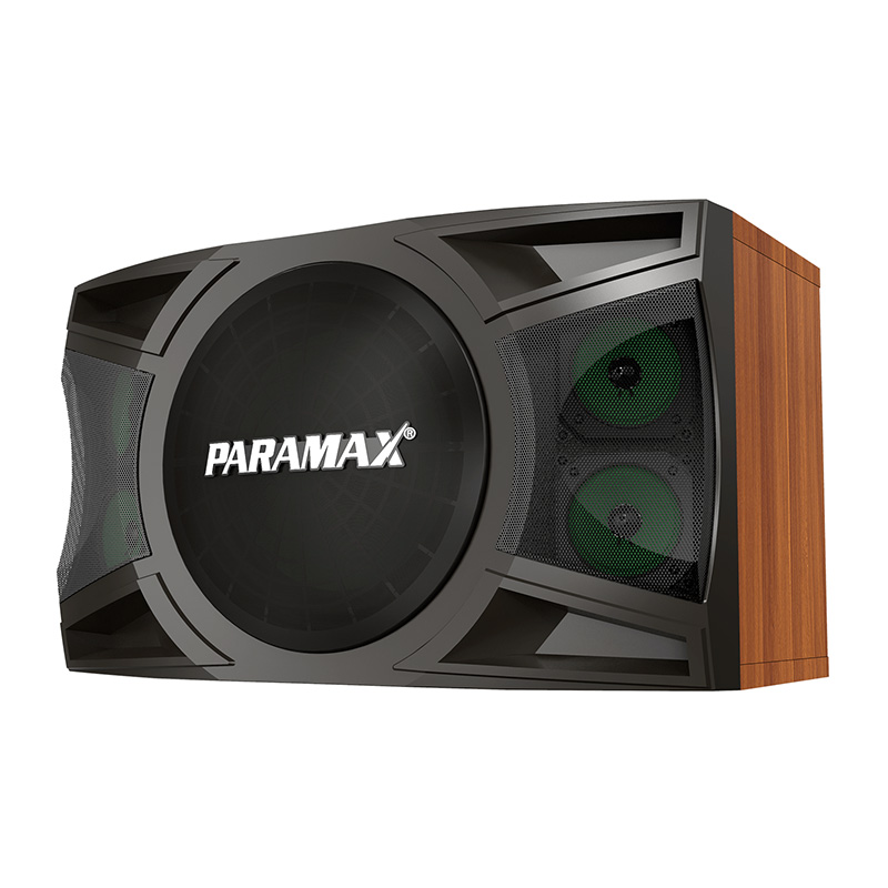 Loa Paramax LX1200, Bass 25cm, 250W-2