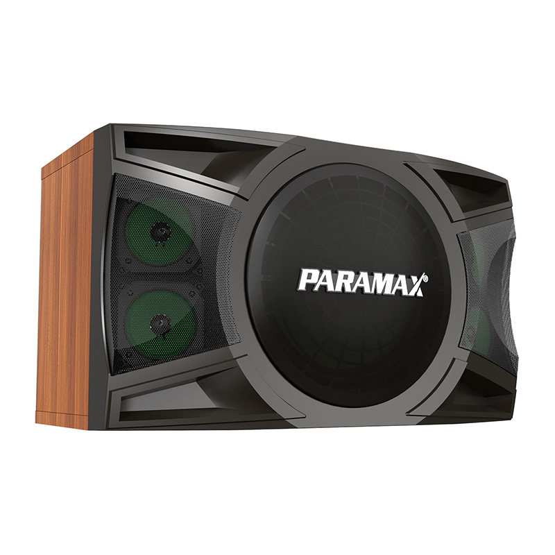 Loa Paramax LX1200, Bass 25cm, 250W-3