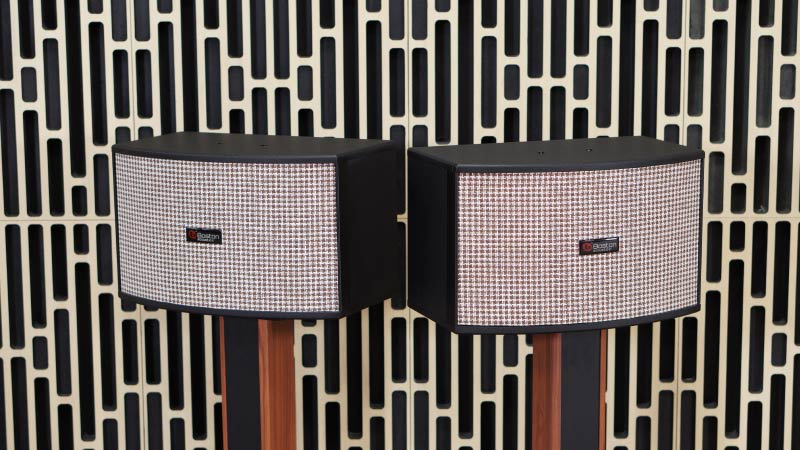 Loa Boston Classic 10, Bass 25cm, 150W-1