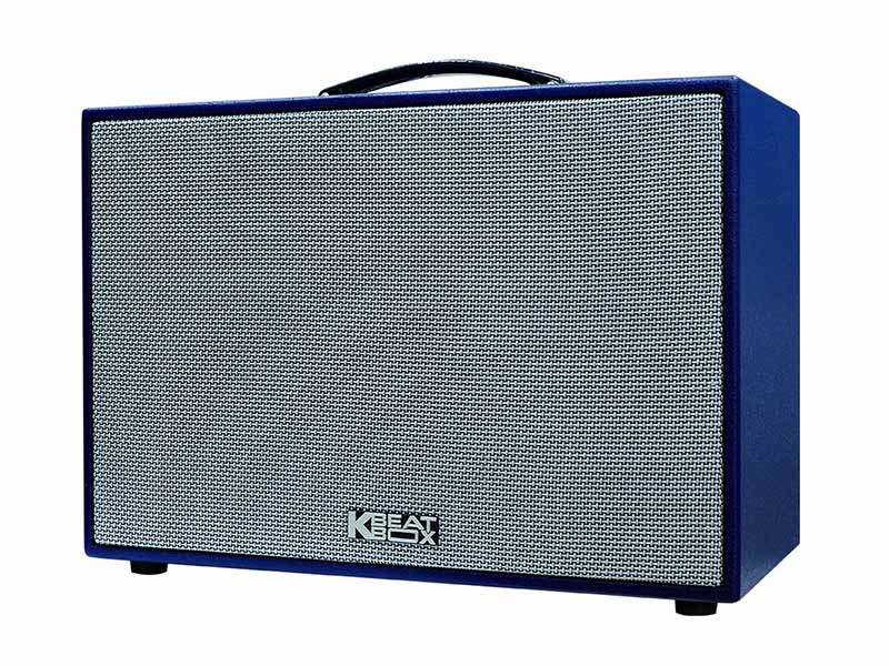 Loa ACNOS CS250SON-1