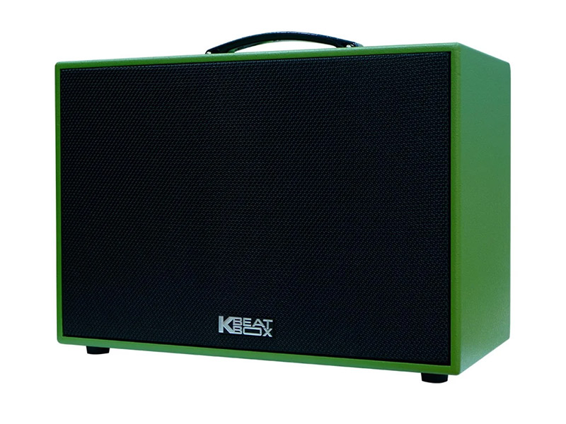 Loa ACNOS CS250SON-2