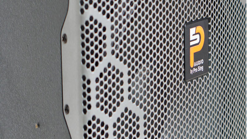 Loa ProSing W12 Bee-1