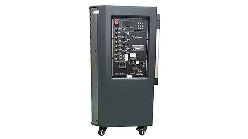 Loa ProSing W12 Bee-3