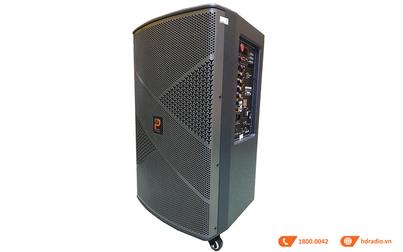 Loa Prosing W12 Infinity-4