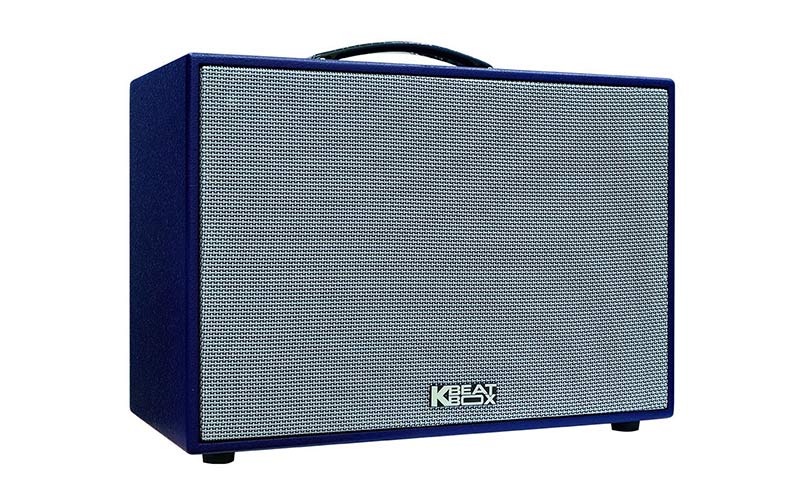 Loa Acnos CS200SON-1