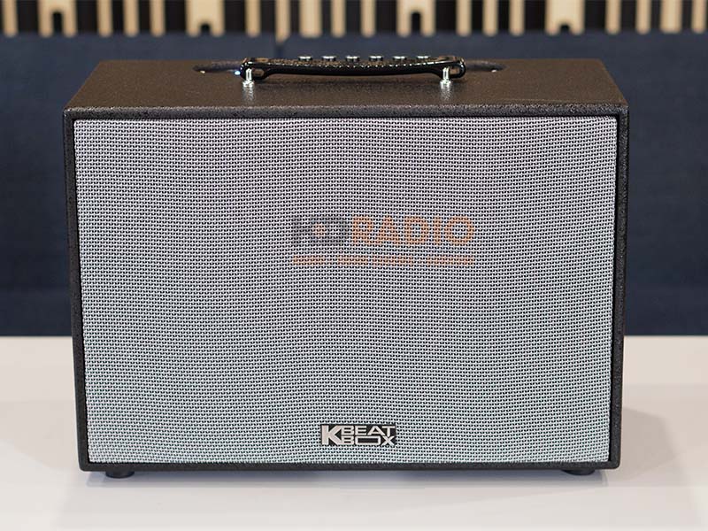 Loa ACNOS CS250SON-4