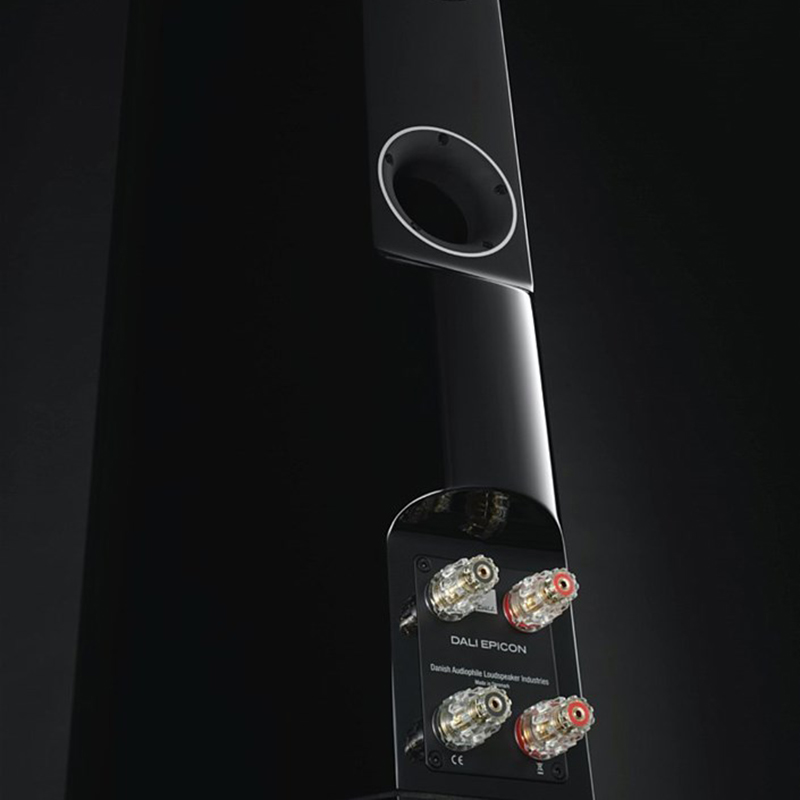 Loa Dali Epicon 6 (Độ nhạy 88dB, Tần số 35Hz-30KHz)-8