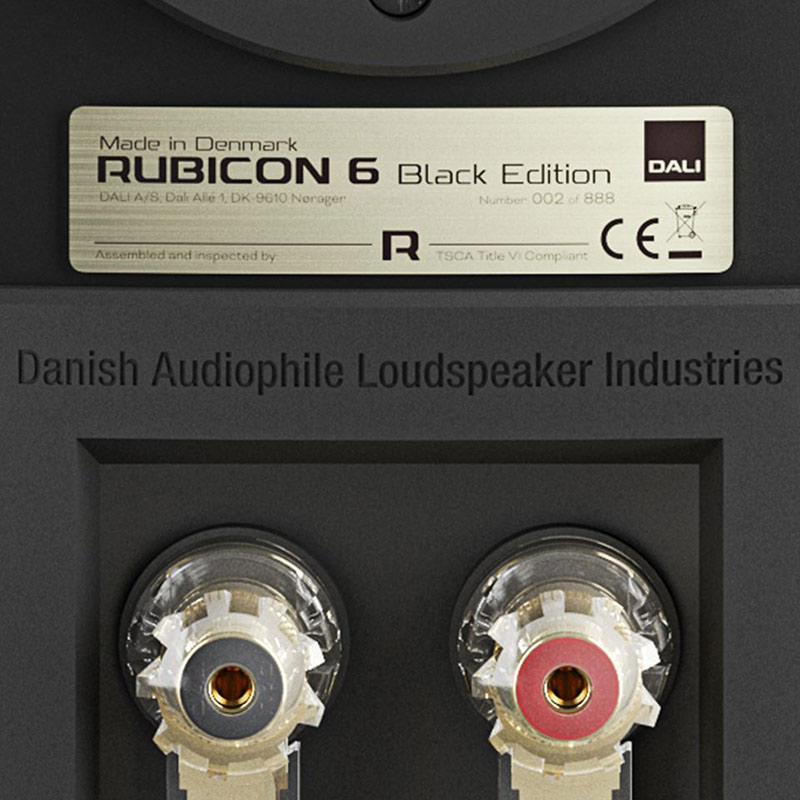 Loa Dali Rubicon 6BE-4