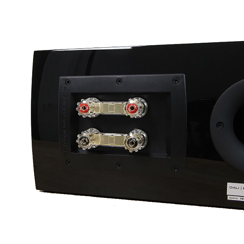 Loa Dali Rubicon Vokal (Độ nhạy 89.5dB, Tần số 49Hz-34KHz)-6