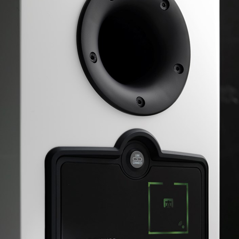 Loa Dali Rubicon 6C (Độ nhạy 88.5dB, Tần số 37Hz-30KHz)-6